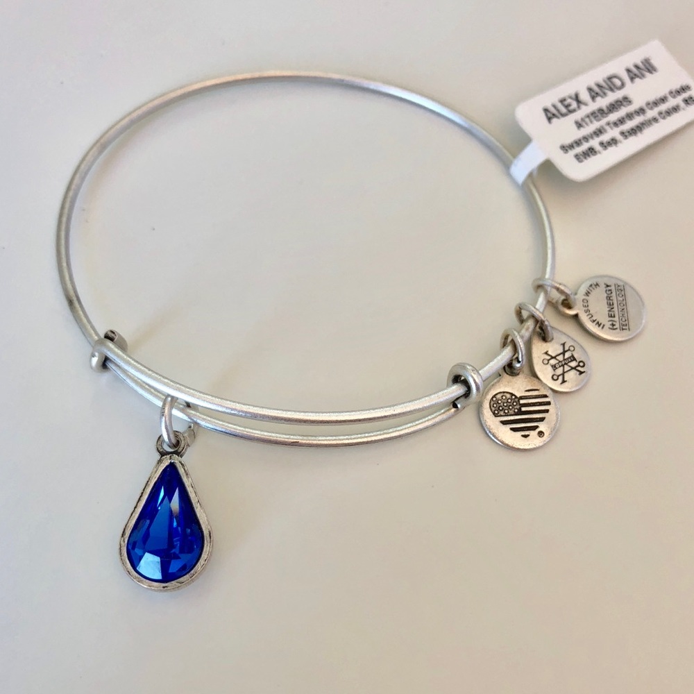 Alex and Ani Charm Bangle with Swarovski Crystal